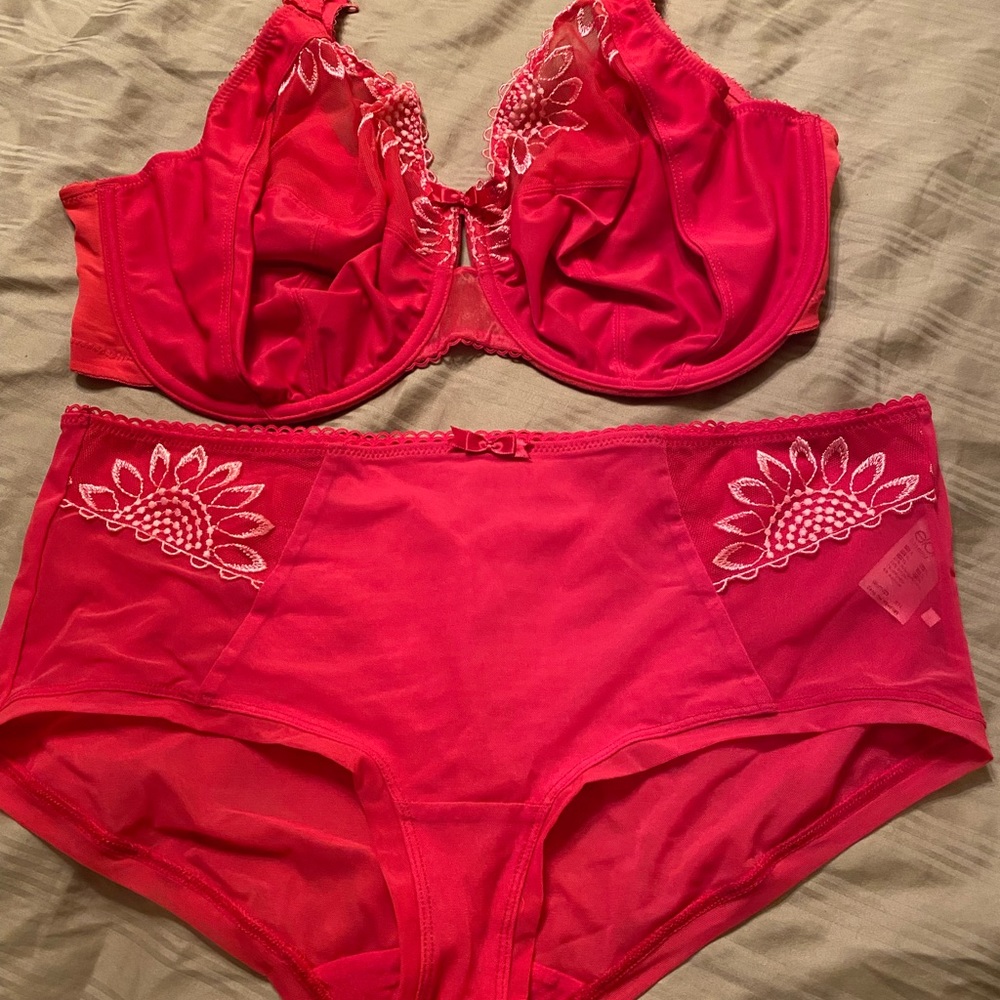 Beautiful Elomi Bra and Panties Set